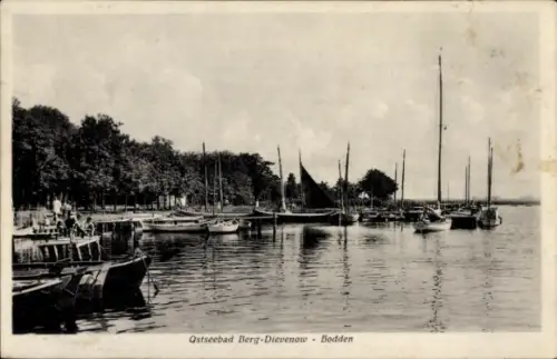 Ak Dziwnów Berg Dievenow in Pommern, Bodden, Hafen