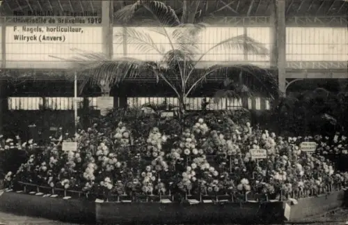 CPA Exposition Universelle de Bruxelles 1910, F. Nagels, horticulteur, Wilryck