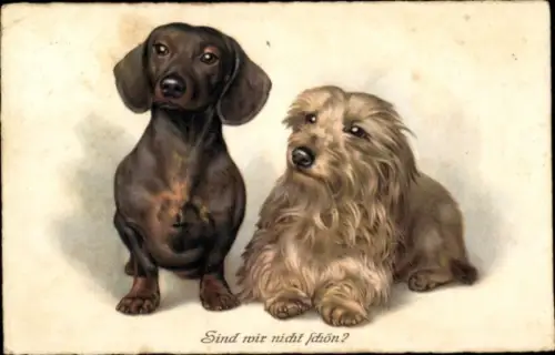 Ak Hundeportrait, Dackel