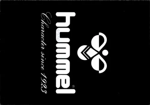 Autogrammkarte Handballer Michael Hegemann, HSG Düsseldorf, Autogramm