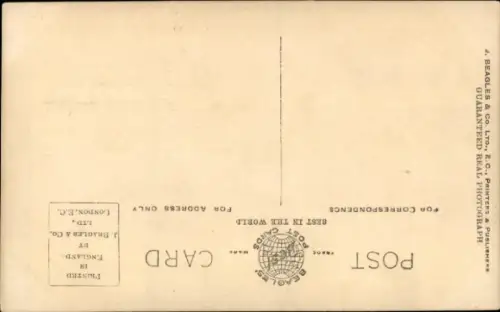 Ak Prince of Wales, Portrait