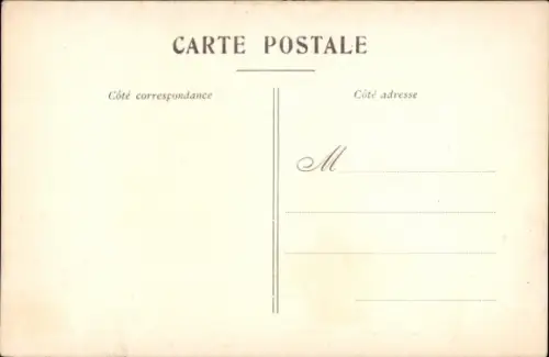 CPA Espèces Canines, Race chiens d'arrêt Anglais, Setters Irlandais