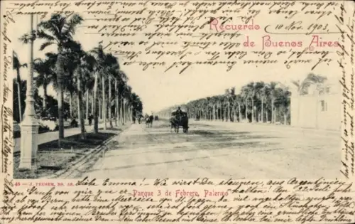 Ak Palermo Buenos Aires Argentinien, Pferdewagen, Palmen, Straße, Parque 3 de Febrero, Buenos Air