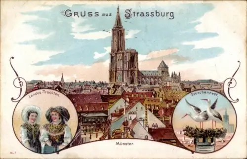 Litho Straßburg Elsass Bas Rhin, Münster, Landes-Trachten, Storchennest