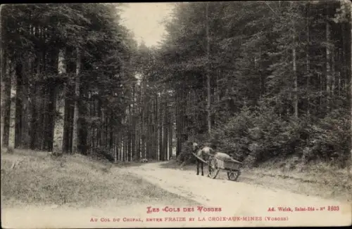 Ak Fraize Vosges, Au Col du Chipal, entre Fraize et La Croix aux Mines