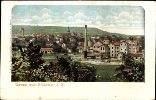 Ak Hodkovice nad Mohelkou Liebenau in Böhmen Region Reichenberg, Gesamtansicht
