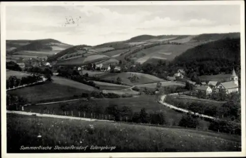 Ak Rościszów Steinseifersdorf Dzierżoniów Reichenbach Eulengebirge Schlesien, Gesamtansicht