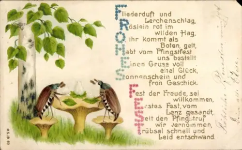 Ak Glückwunsch Pfingsten, Maikäfer, Pilze, Birke