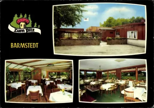 Ak Barmstedt im Kreis Pinneberg, Gasthof zum Pilz, Veranda mit Gartenterrasse