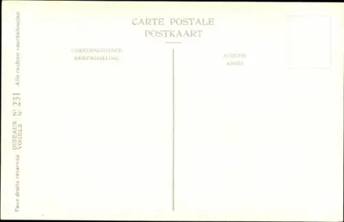 Künstler Ak Dupond, Hub., Anas formosa, Baikalente