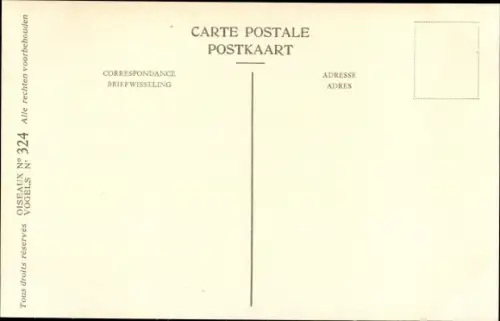 Künstler Ak Dupond, Hub., Porzana parva, Sumpfhuhn