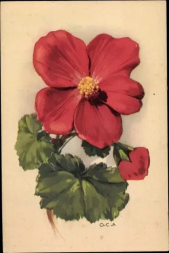 Künstler Ak Rote Blume mit Blättern, Knospe, Blüte