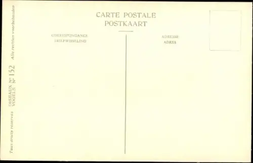 Künstler Ak Dupond, Hub., Bruant jaune, Geelgors, Nr. 152