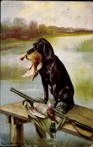 Künstler Ak Müller, Aug., Bluthund, Geschossene Stockente, Jagd