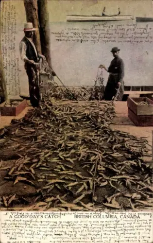 Ak British Columbia, Fischfang