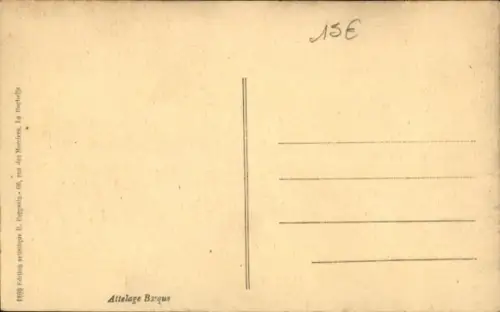 CPA Attelage Basque, Ochsen