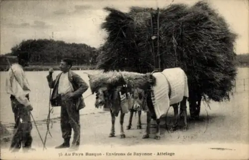 CPA Au Pays Basque, Environs de Bayonne, Attelage