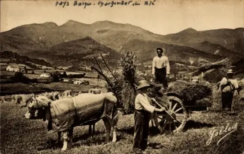 CPA Pays Basque, Chargement de Gerbes de blé