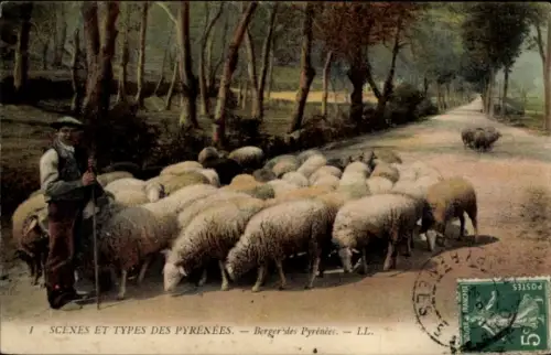 Ak Scene et Types des Pyrenees, Schäfer mit Herde