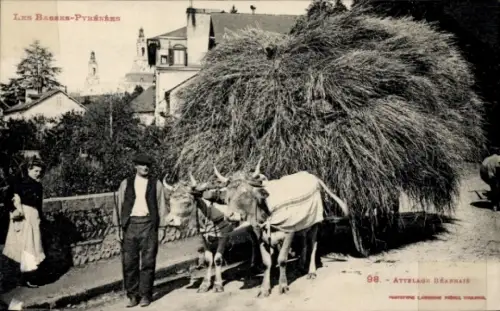 Ak Les Basses Pyrénées, Attelage Bearnais