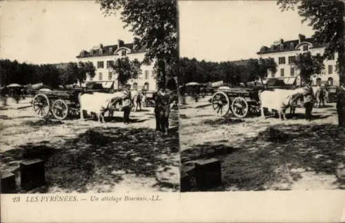 Stereo CPA Les Pyrenees, Un Attelage béarnais