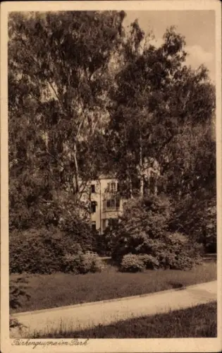 Ak Wałbrzych Waldenburg Schlesien, Birkengruppe im Park, Bäume, Gebäude im Hintergrund