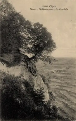 Ak Insel Rügen, Klippenlandschaft, Baum, Meer, Küste, Schwarz-Weiß-Foto