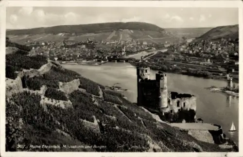 Ak Bingen am Rhein, Ruine Ehrenfels, Mäuseturm, Bingen, Weinberge, Rhein