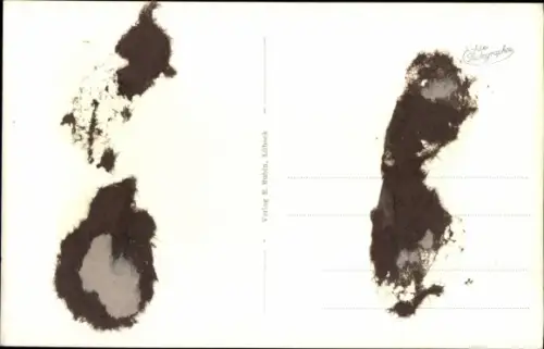 Ak Rewal Rewahl Pommern, Seestimmung