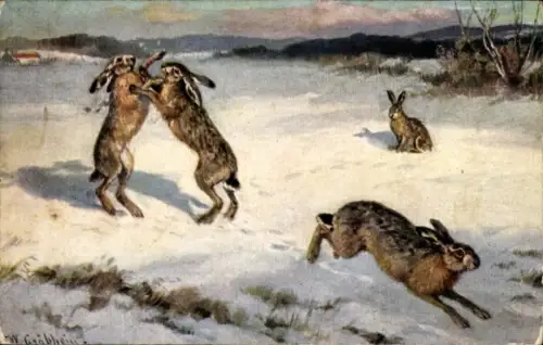 Künstler Ak Feldhasen im Schnee