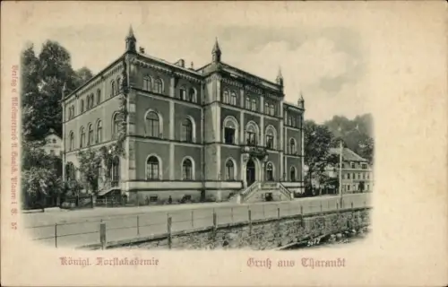 Relief Ak Tharandt im Erzgebirge, Königliche Forstakademie