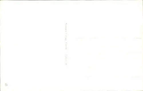 Ak Tonder Dänemark, Guldhornstenene