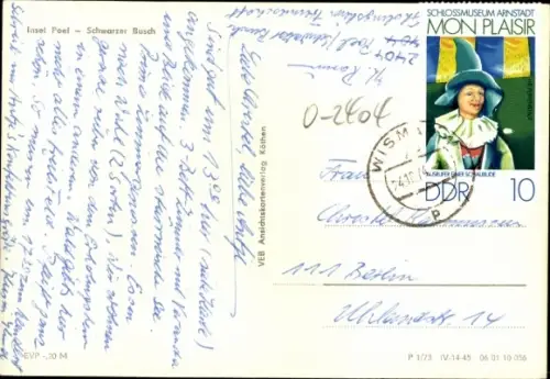 Ak Insel Poel Mecklenburg, Schwarzer Busch