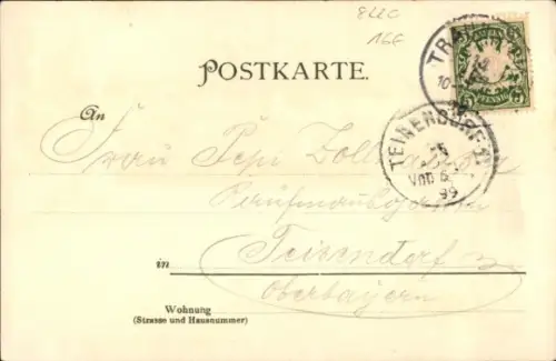 Litho Traunstein in Oberbayern, Panorama, Denkmal, Wanderer in Tracht, Edelweiß