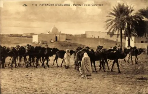 CPA Algerien, Passage d'une Caravane