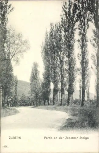 Ak Saverne Zabern Elsass Bas Rhin, Zaberner Steige, Bäume, Weg, Schwarz-Weiß-Foto