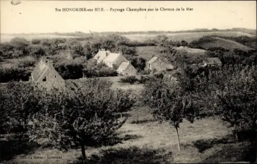 Ak Sainte Honorine sur Mer Calvados, Paysage Champetre sur le Chemin de la Mer