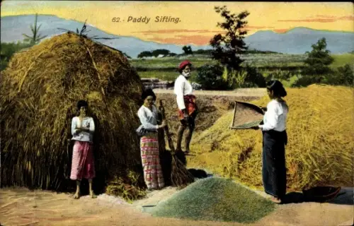 Ak Sri Lanka, Paddy Sifting