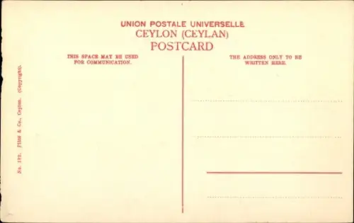 Ak Ceylon Sri Lanka, Tea Estate