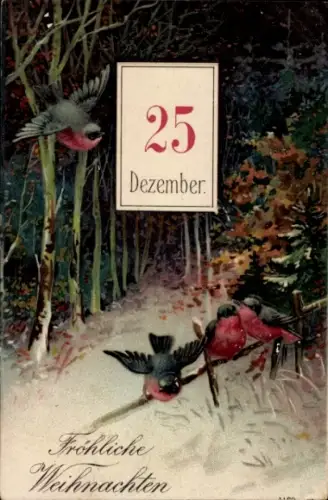 Präge Ak Frohe Weihnachten, Vögel, 25. Dezember