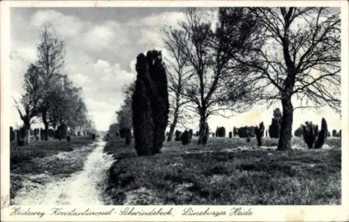 Ak Lüneburger Heide, Heideweg, Bäume, Weg, Lüneburger Heide