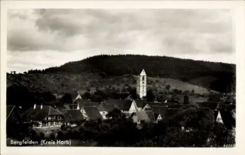 Ak Bergfelden Sulz am Neckar, Gesamtansicht
