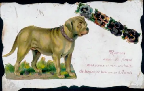 Ak Hund, Stiefmütterchen, Kitsch