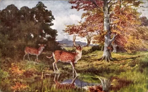 Künstler Ak Hirsch und Reh im Wald