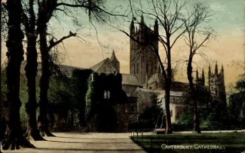 Ak Canterbury Kent England, Canterbury Cathedral, Bäume, 