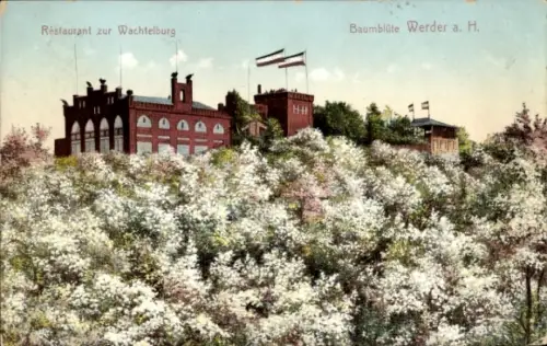 Ak Werder an der Havel, Restaurant zur Wachtelburg, Baumblüte, Flaggen