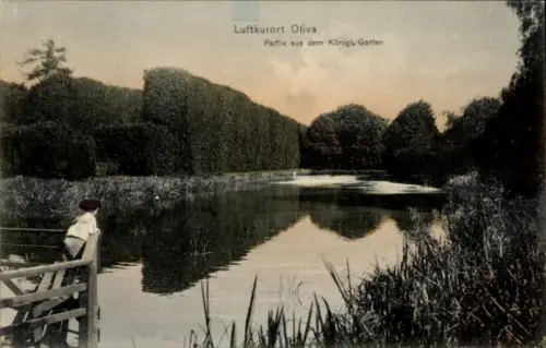Ak Oliva Gdańsk Danzig, Luftkurort  Partie aus dem Königl. Garten, Wasserlandschaft, Bäume