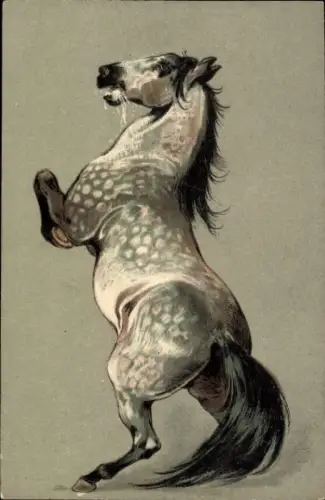 Präge Künstler Litho Portrait eines Pferdes, Apfelschimmel auf seinen Hinterbeinen