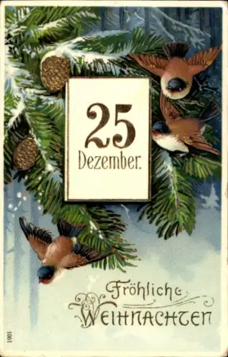 Ak Frohe Weihnachten, 25. Dezember, Tannenzweig, Vögel