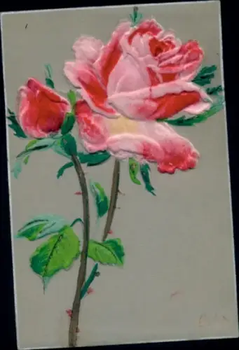 Material Ak Blühende Rose